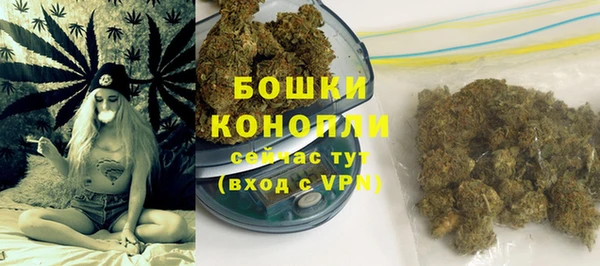 шишки Балабаново