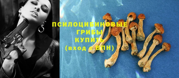 шишки Балабаново